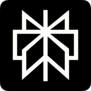 perplexity.ai app icon
