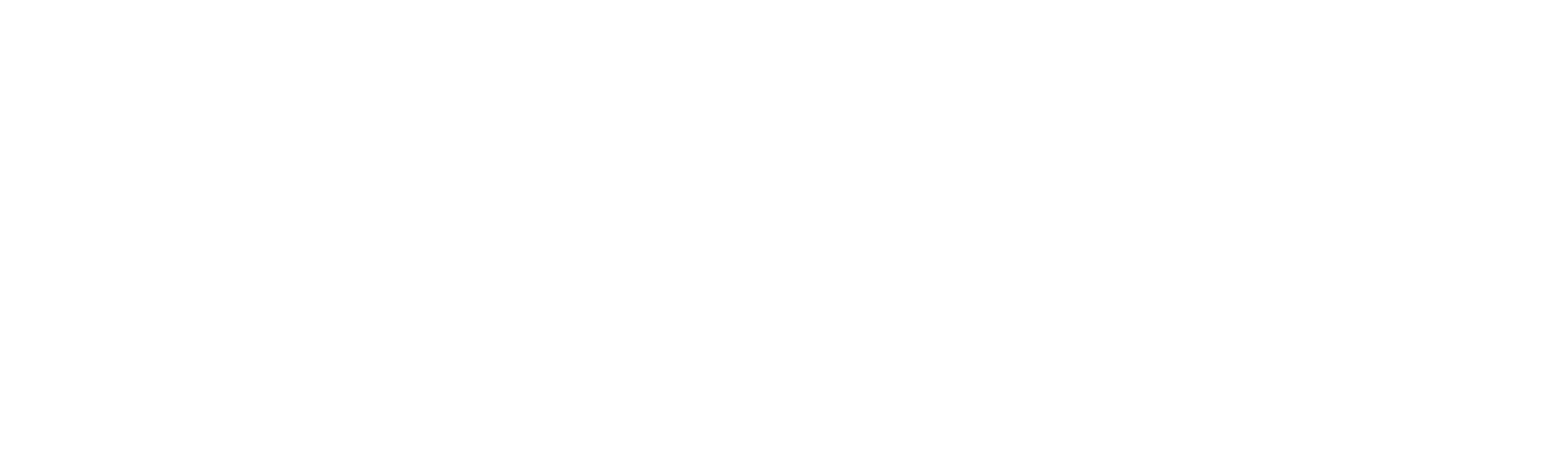 Logotype Full Primary Light
